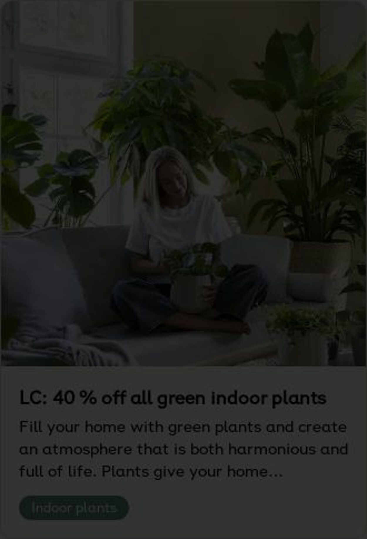 Erbjudanden Plantagen 18.08.2025 - 27.08.2025