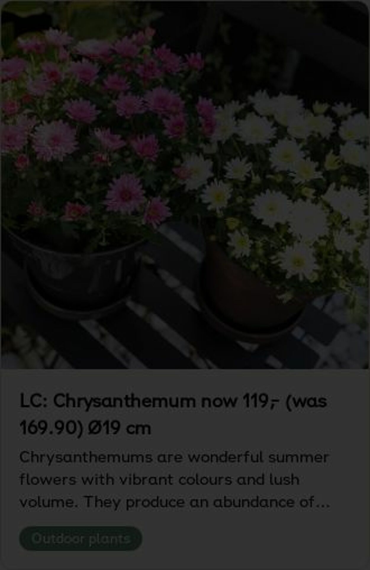 Erbjudanden Plantagen 18.08.2025 - 27.08.2025