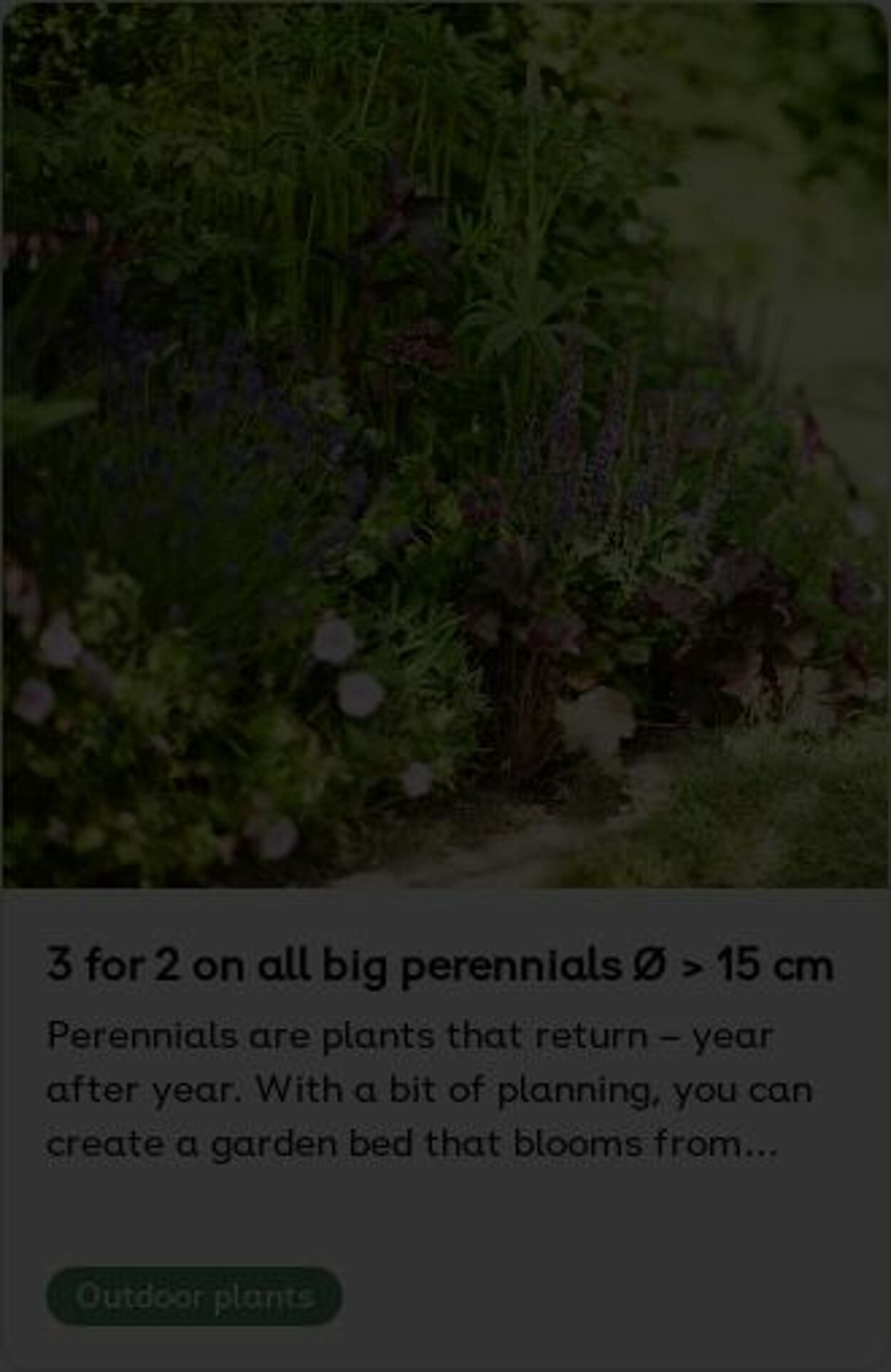 Erbjudanden Plantagen 18.08.2025 - 27.08.2025