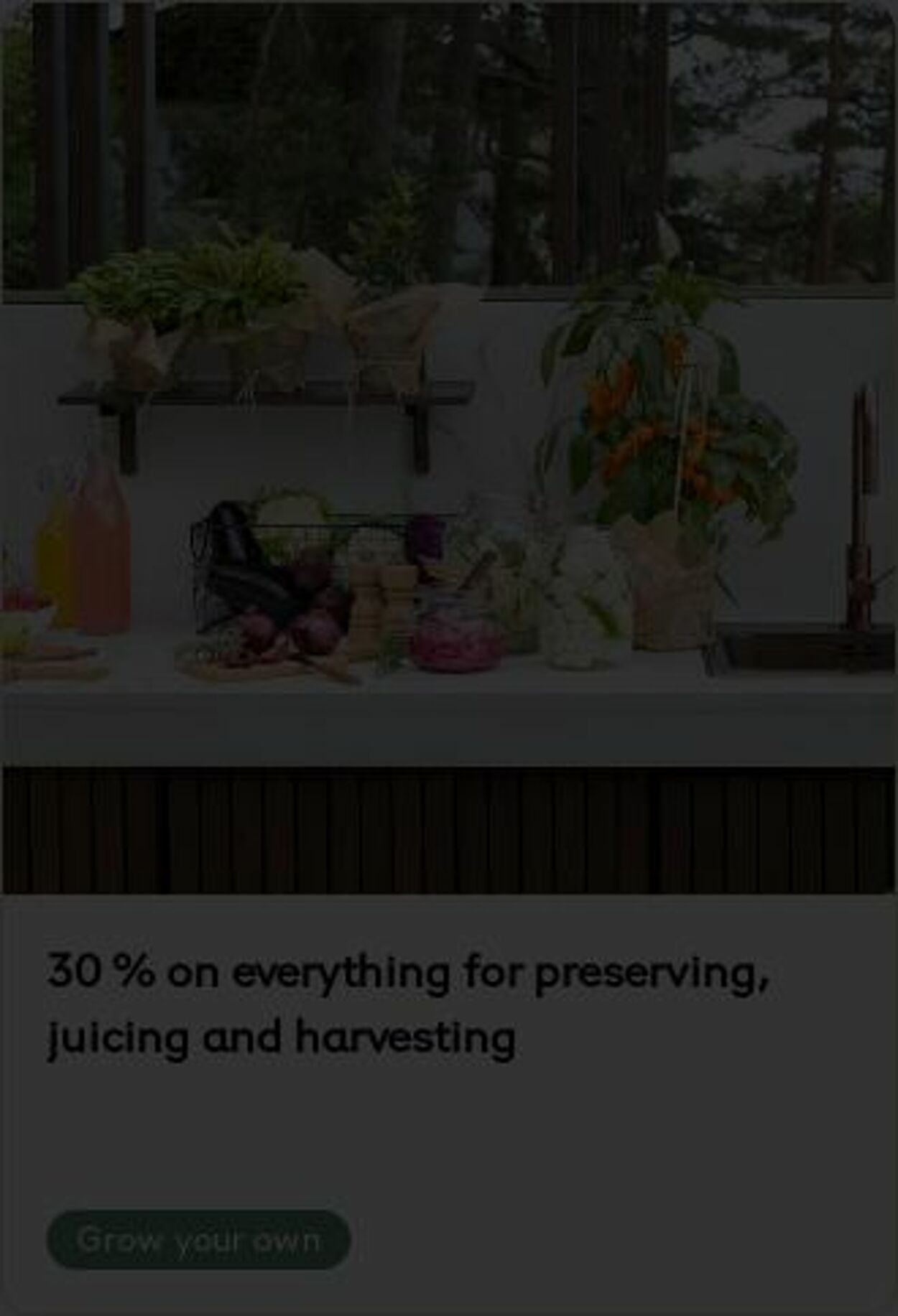 Erbjudanden Plantagen 18.08.2025 - 27.08.2025