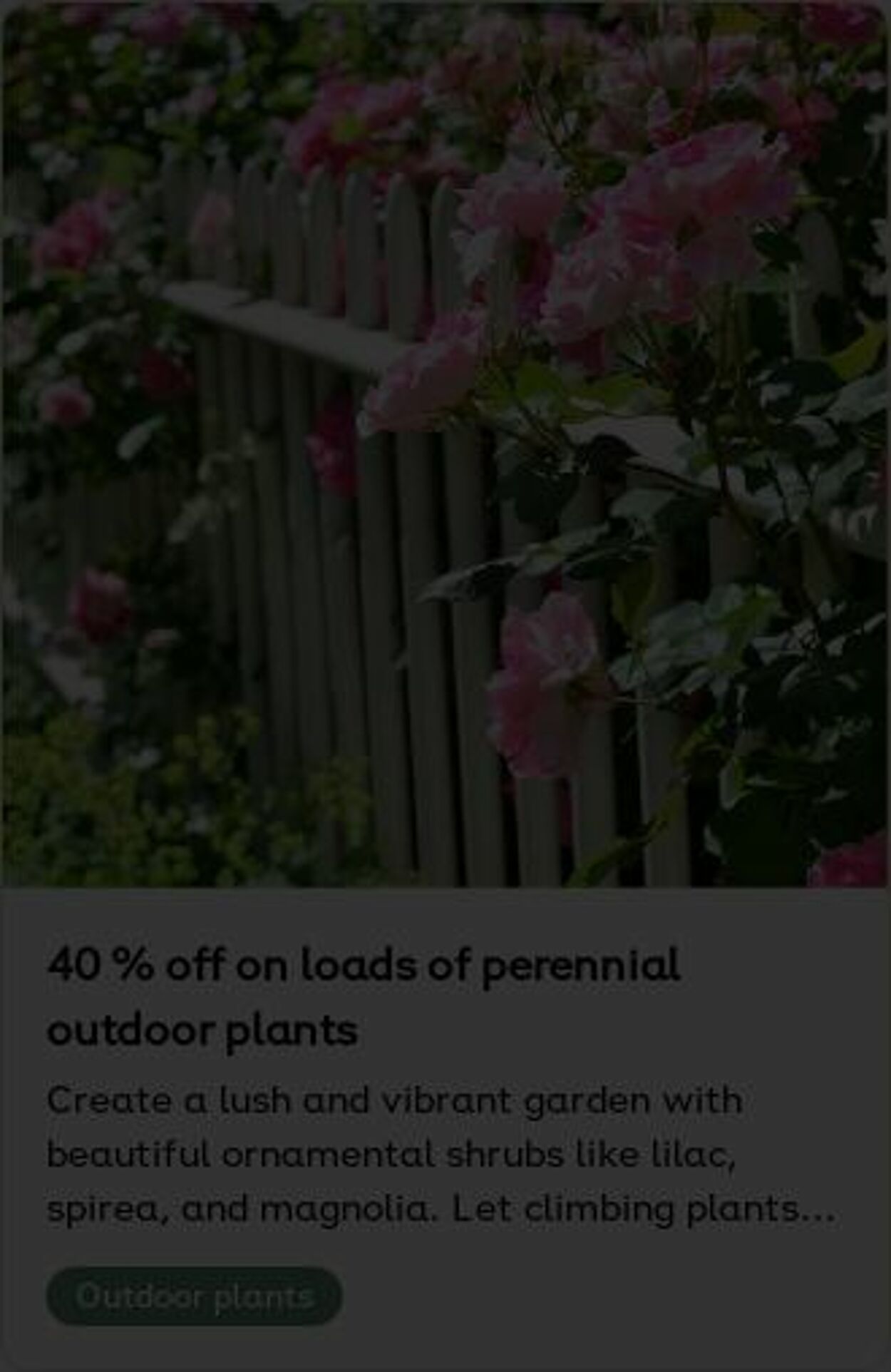 Erbjudanden Plantagen 18.08.2025 - 27.08.2025