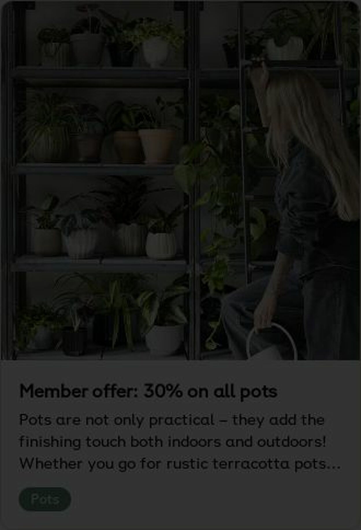 Erbjudanden Plantagen 18.08.2025 - 27.08.2025