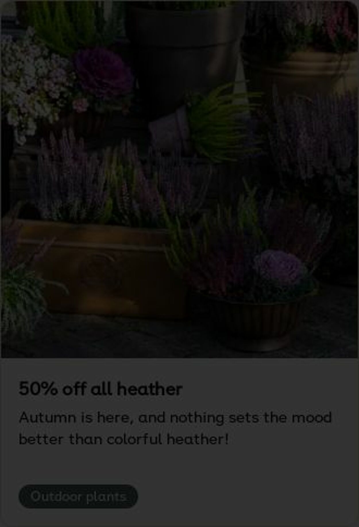 Erbjudanden Plantagen 03.11.2025 - 12.11.2025