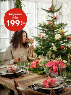 Erbjudanden Plantagen 15.12.2023 - 05.01.2024