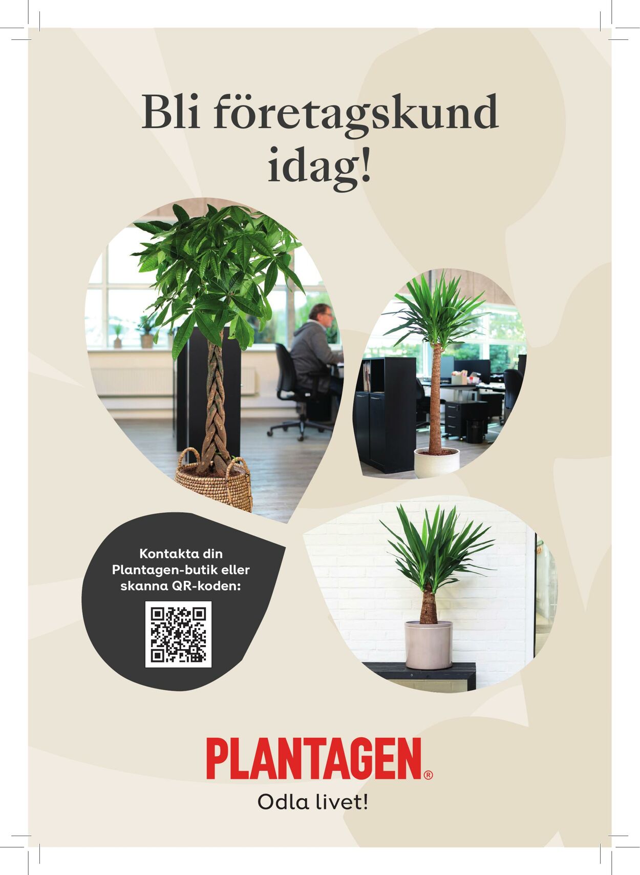 Erbjudanden Plantagen 24.06.2024 - 23.12.2024