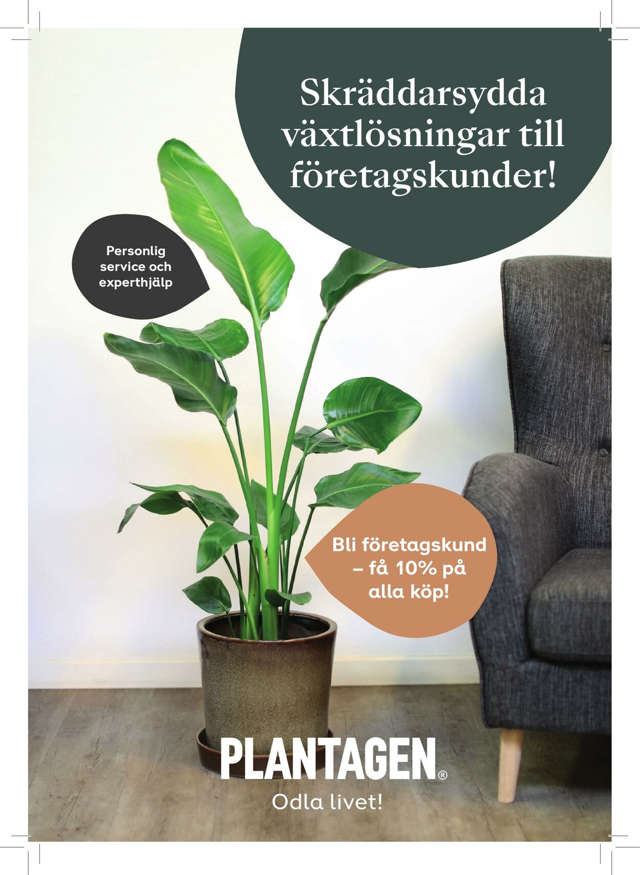 Plantagen Kampanj Erbjudanden