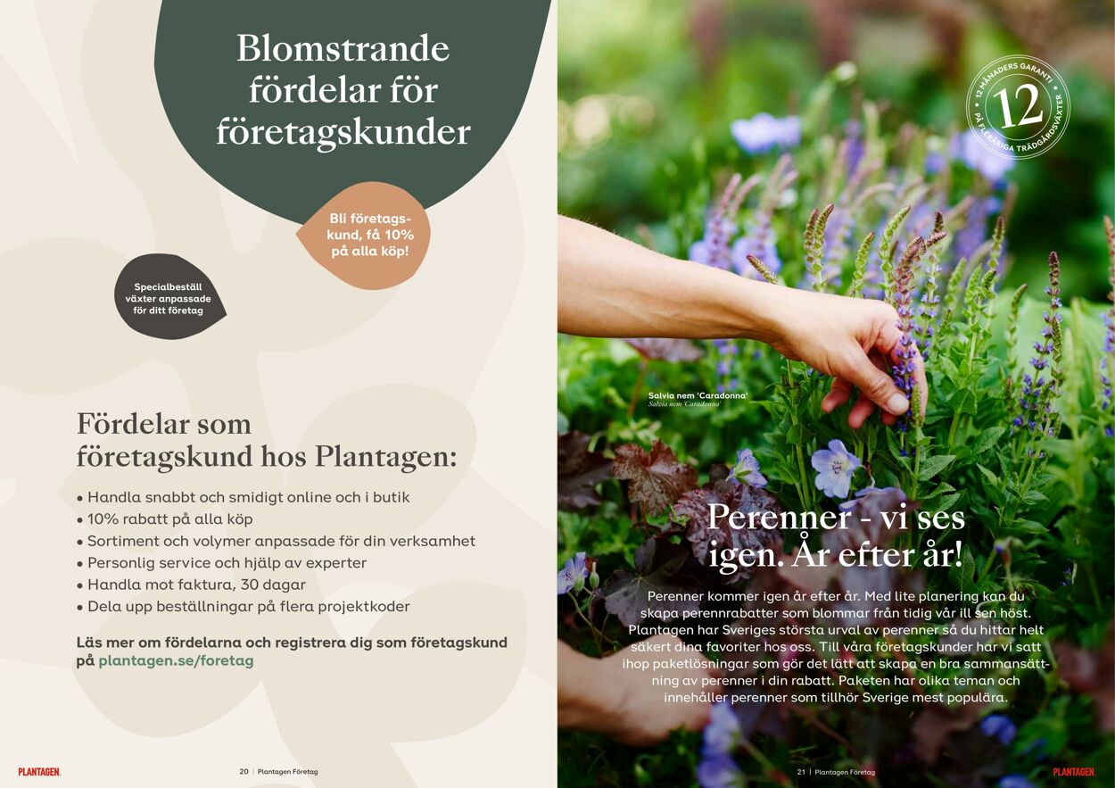 Erbjudanden Plantagen 23.02.2024 - 04.03.2024