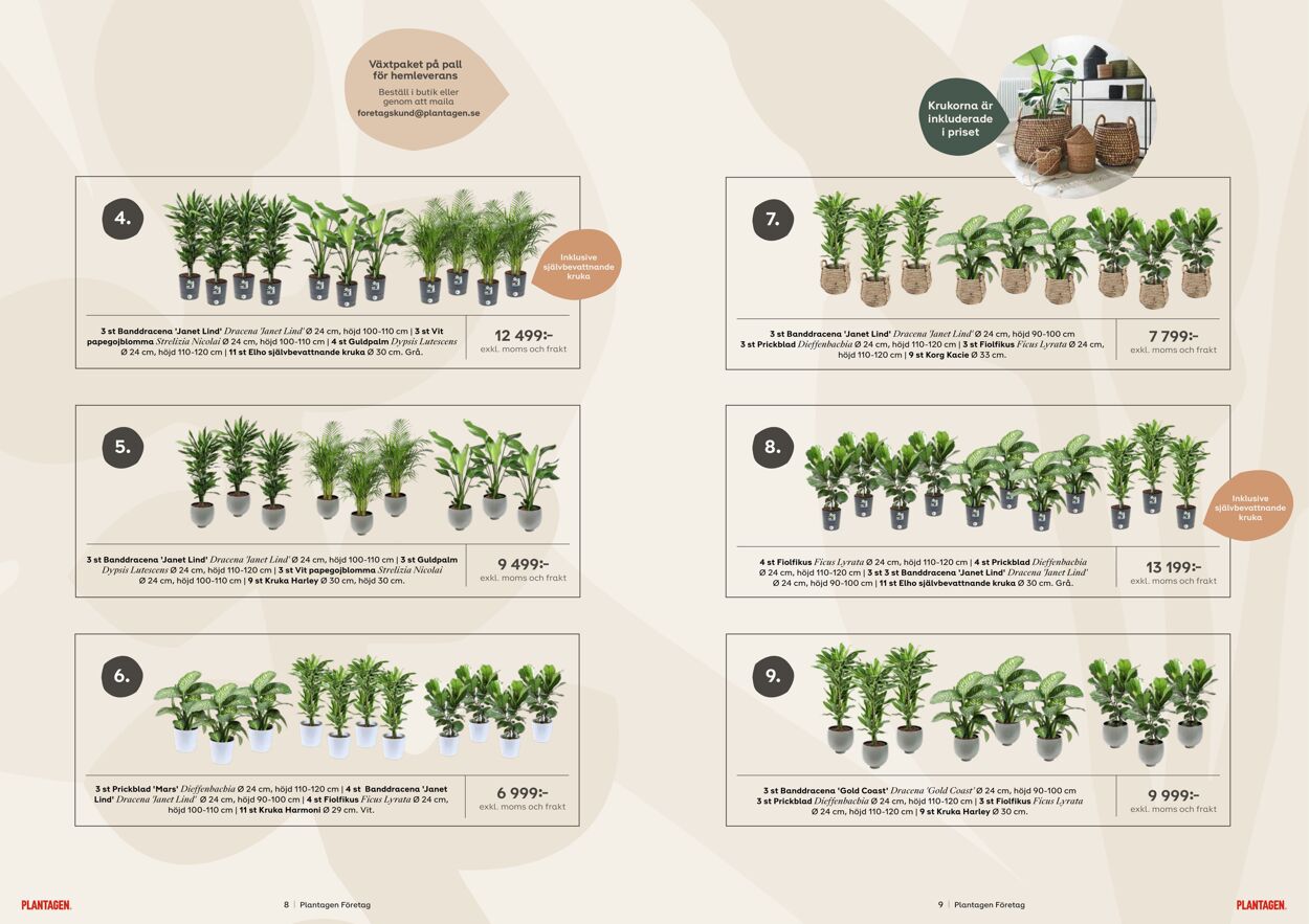 Erbjudanden Plantagen 23.02.2024 - 04.03.2024